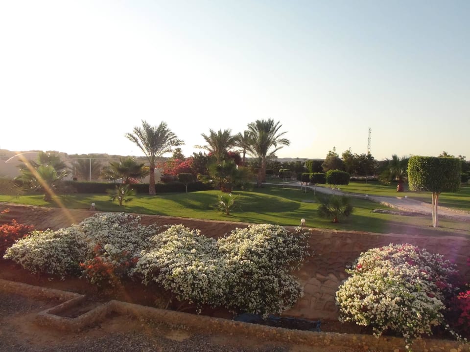 Ogród Three Corners Sea Beach Resort