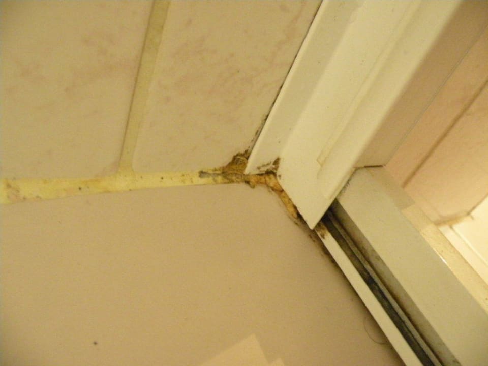 Duschkabine von innen Enki Hotel