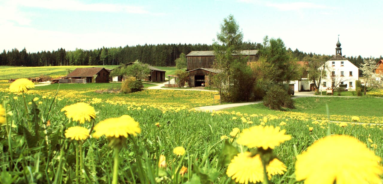 Außenansicht Gowerlhof