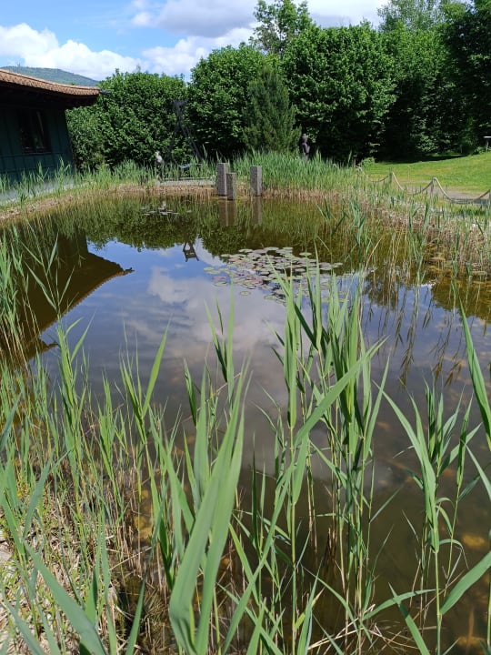 Gartenanlage Spirit & SPA Hotel Birkenhof am Elfenhain