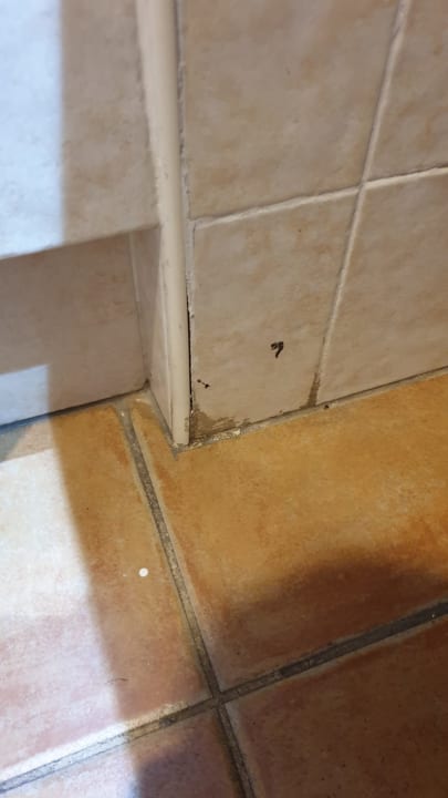 Zimmer Occidental Jandía Playa