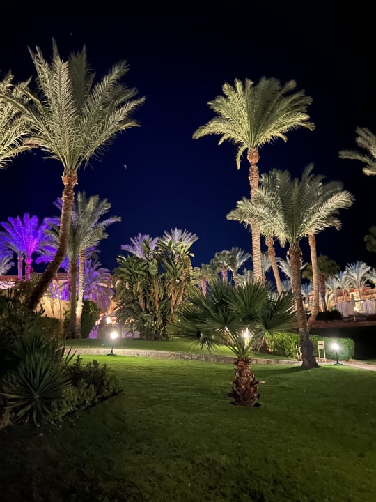 Gartenanlage Steigenberger Coraya Beach - Adults only