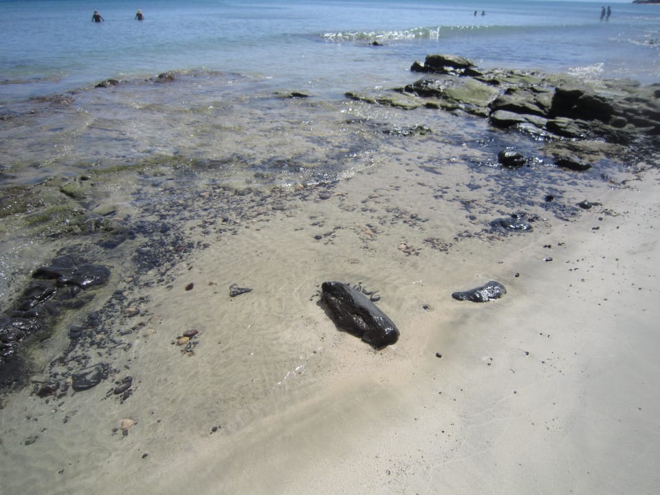 Strand (etwa 5 Minuten vom Hotel) SBH Costa Calma Beach Resort