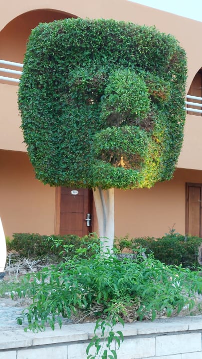 Gartenanlage Golden Beach Resort