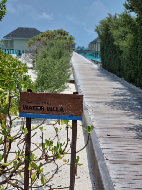 Außenansicht Summer Island Maldives