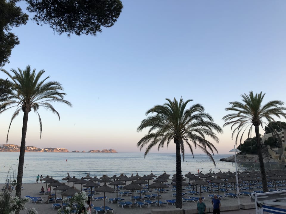 Ausblick Aparthotel Novo Mar