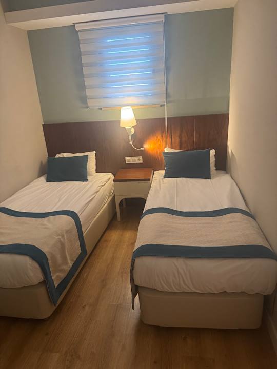 Zimmer Seashell Vega