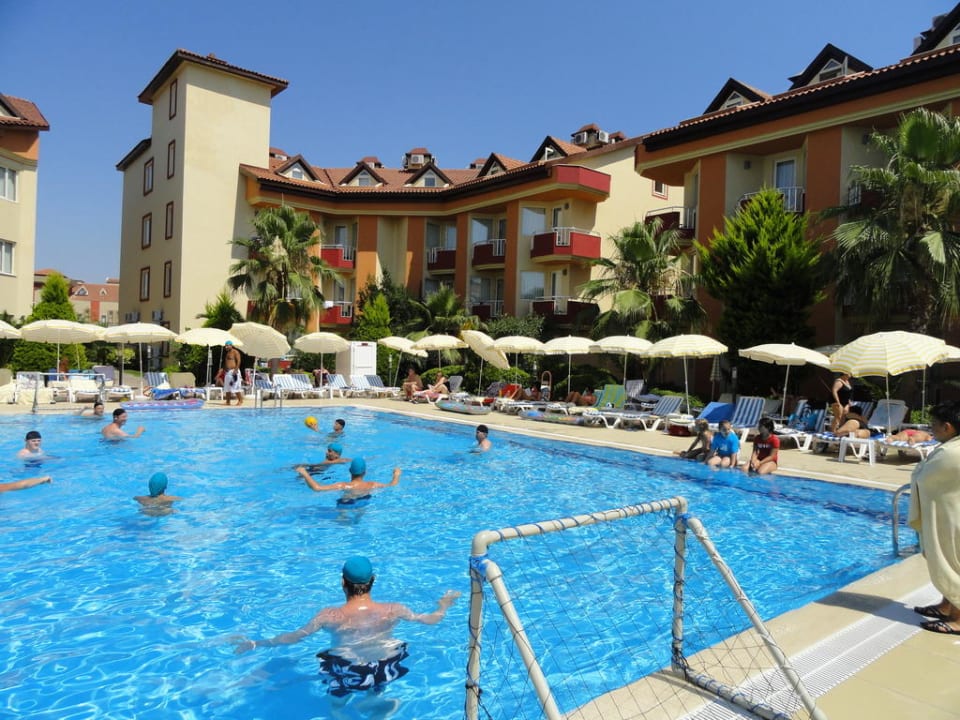 Pool Hotel Orfeus Park