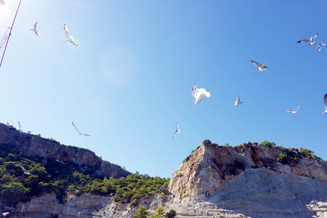 Strand Hotel Grand Viking