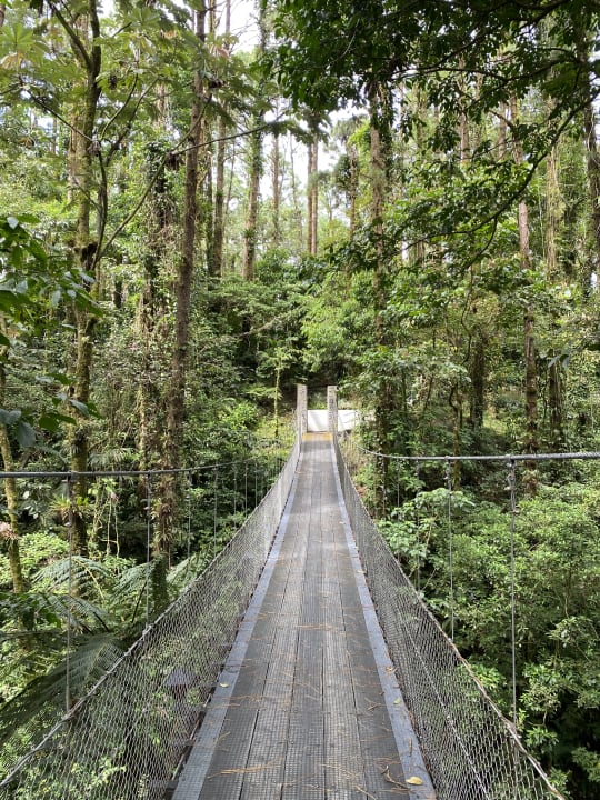 Gartenanlage Arenal Observatory Lodge & Spa