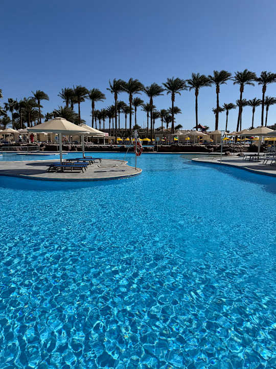 Pool Beach Albatros Resort