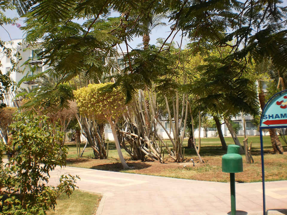 Garten Shams Safaga Resort