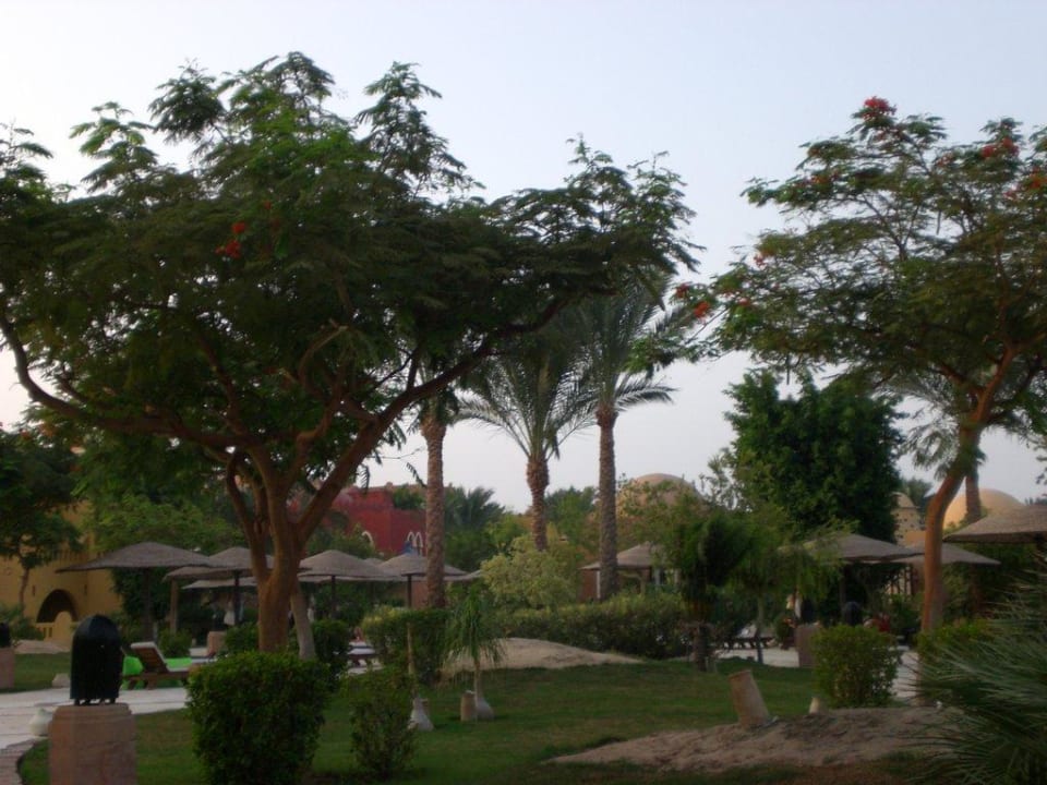 Gartenanlage  Grand Makadi