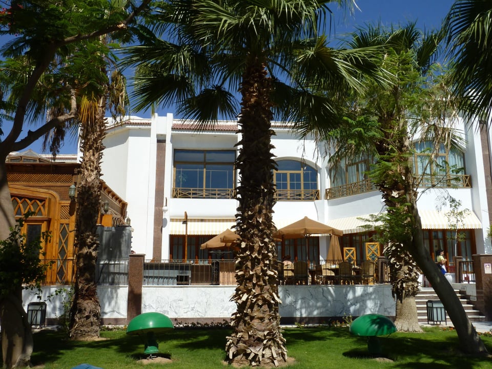 Wunderschöne Palmen The Grand Hotel Hurghada