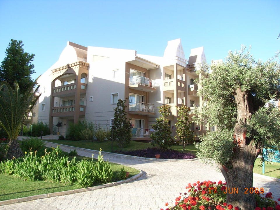 Neu erbaut Kamelya Aishen Club