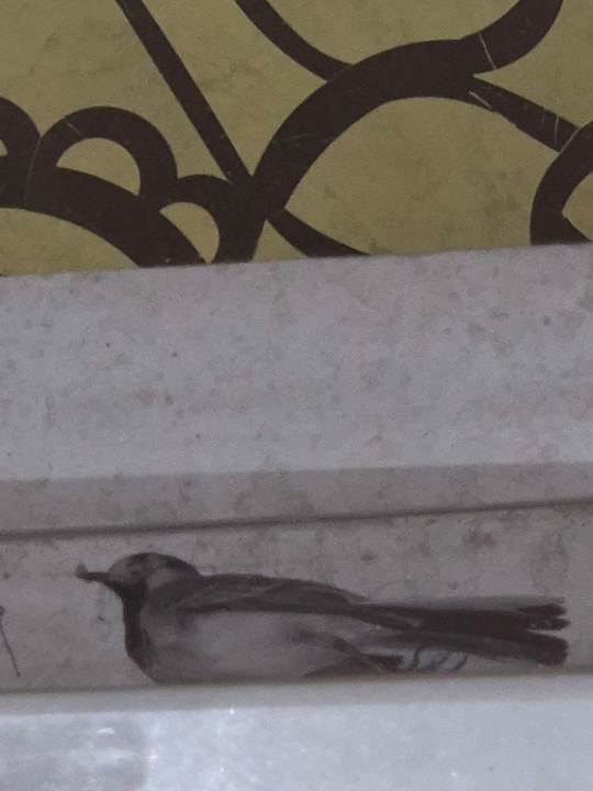 Sonstiges LRS Port River Hotel & Spa