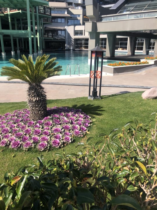 Pool Limak Lara Deluxe Hotel & Resort