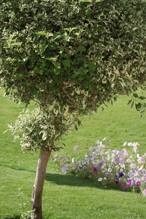 Gartenanlage Jaz Aquaviva