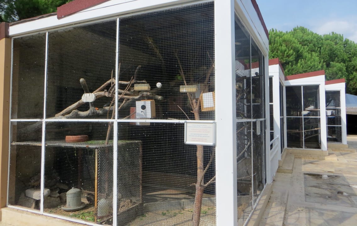 Der Kleine Zoo vom Hotel Pirate's Beach Club