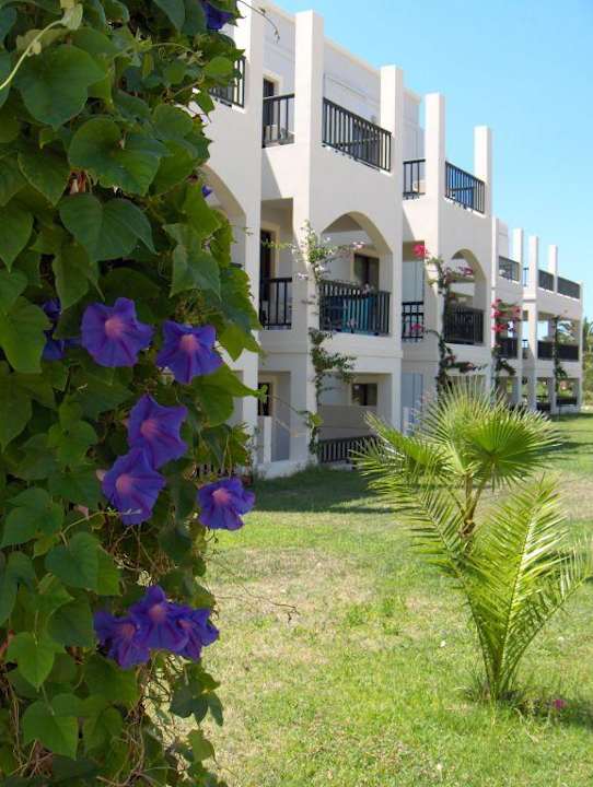Neubau und Gartenanlage Hotel Tigaki Beach