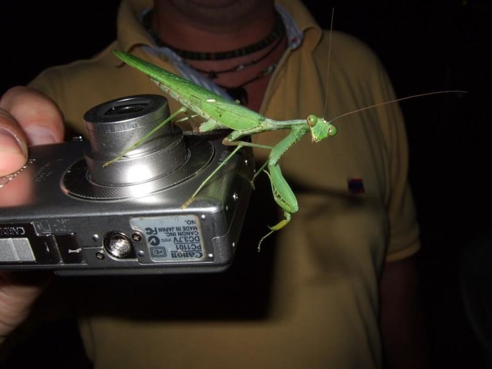 auch ein Hotelgast Hotel Southern Palms Beach Resort