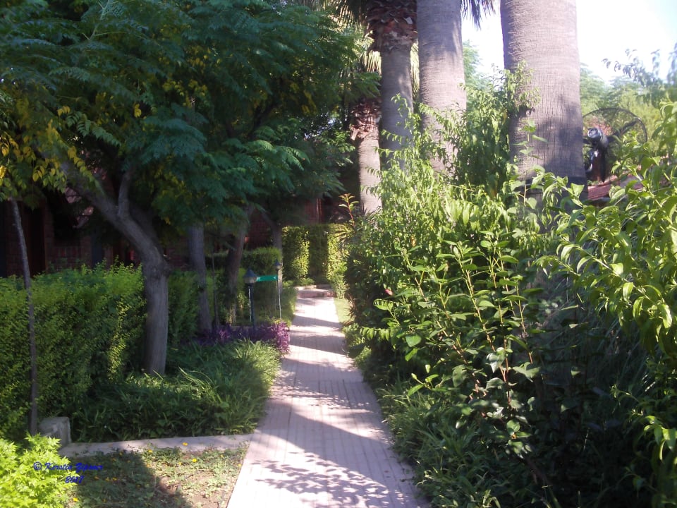 Gartenanlage Can Garden Beach
