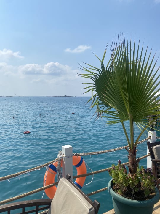 Strand Hotel Botanik Platinum