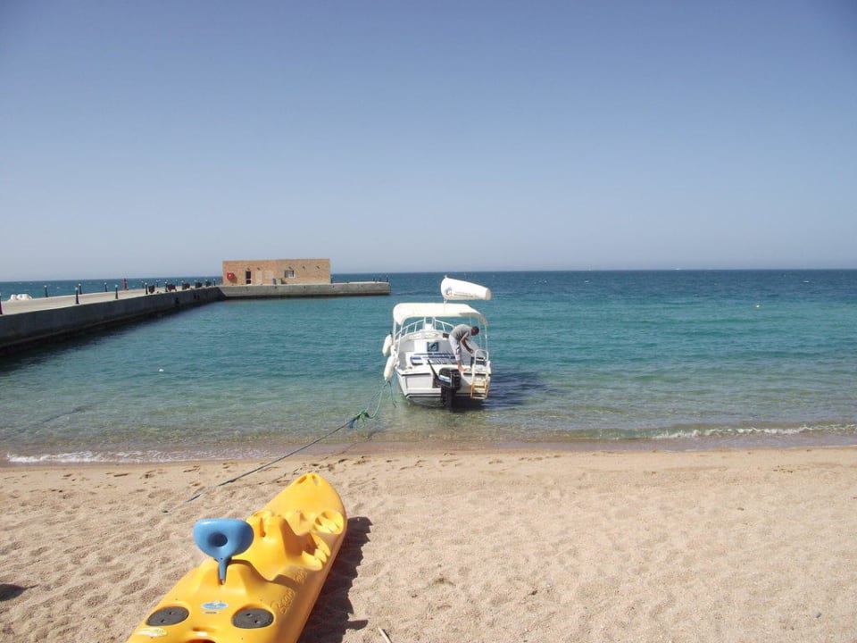 Tauchboot Palm Beach Resort