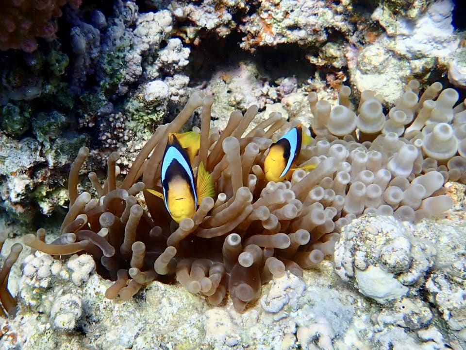 Sport & Freizeit Makadi Spa - Adults only