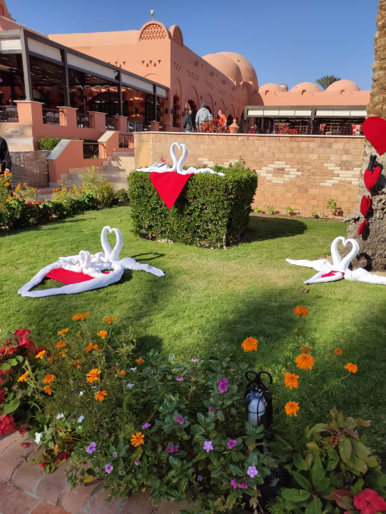 Außenansicht Jaz Makadi Oasis Resort