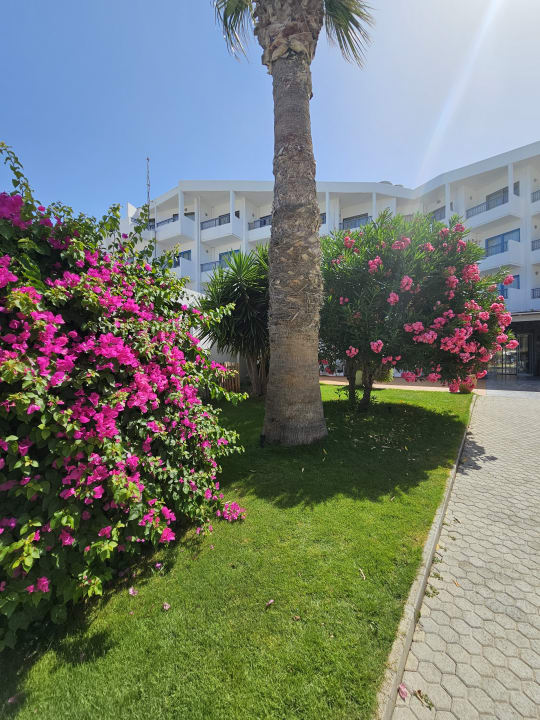 Gartenanlage Hotel Aphrodite Beach Club