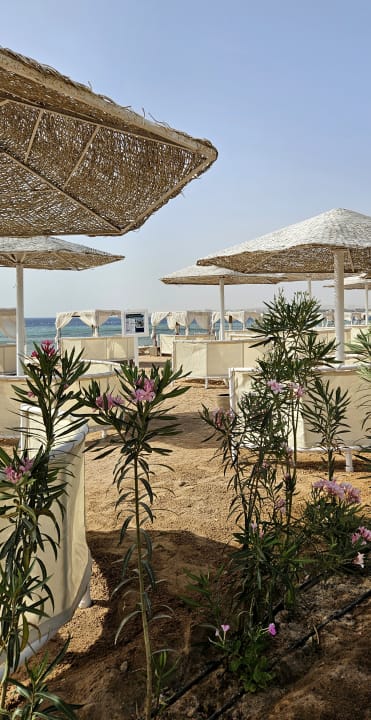Strand Makadi Spa - Adults only