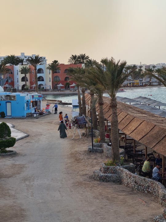 Ausblick Arabella Azur Resort