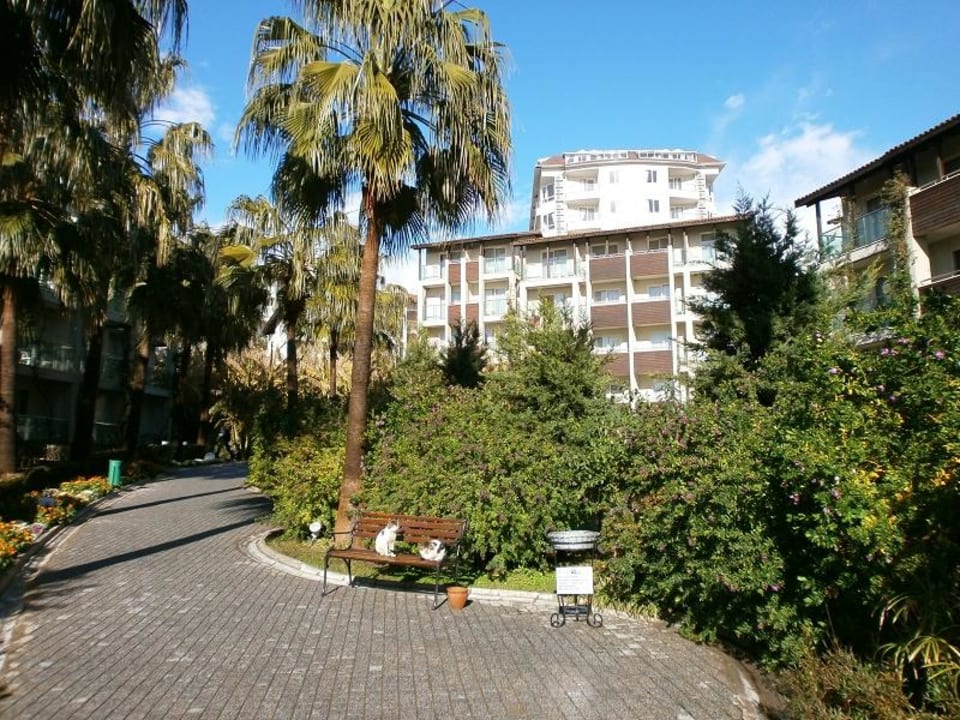 Weg zum Empfang Sealife Buket Resort & Beach