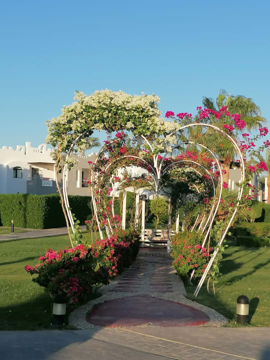 Gartenanlage SUNRISE Royal Makadi Resort