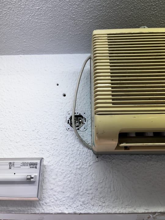 Sonstiges blau punta reina