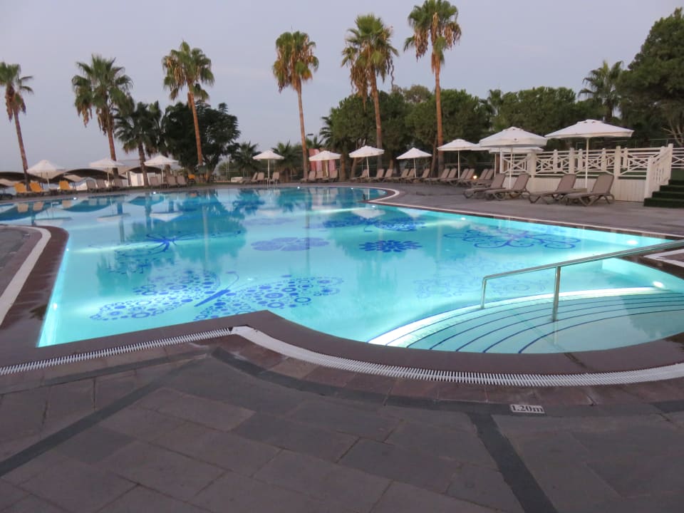 Pool Papillon Belvil