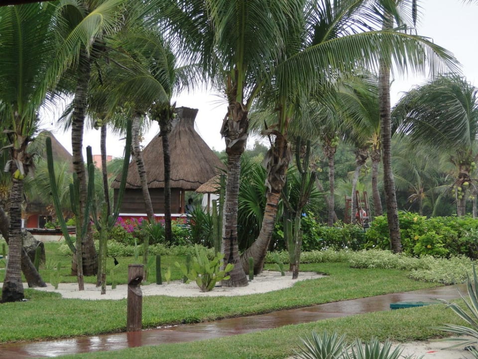 Blick von der Tapas-Bar Catalonia Playa Maroma