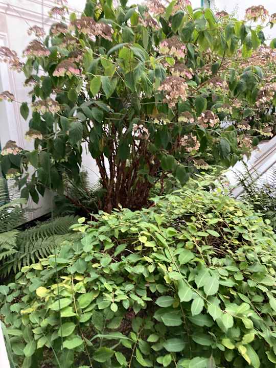 Außenansicht Best Western Premier Grand Hotel Russischer Hof