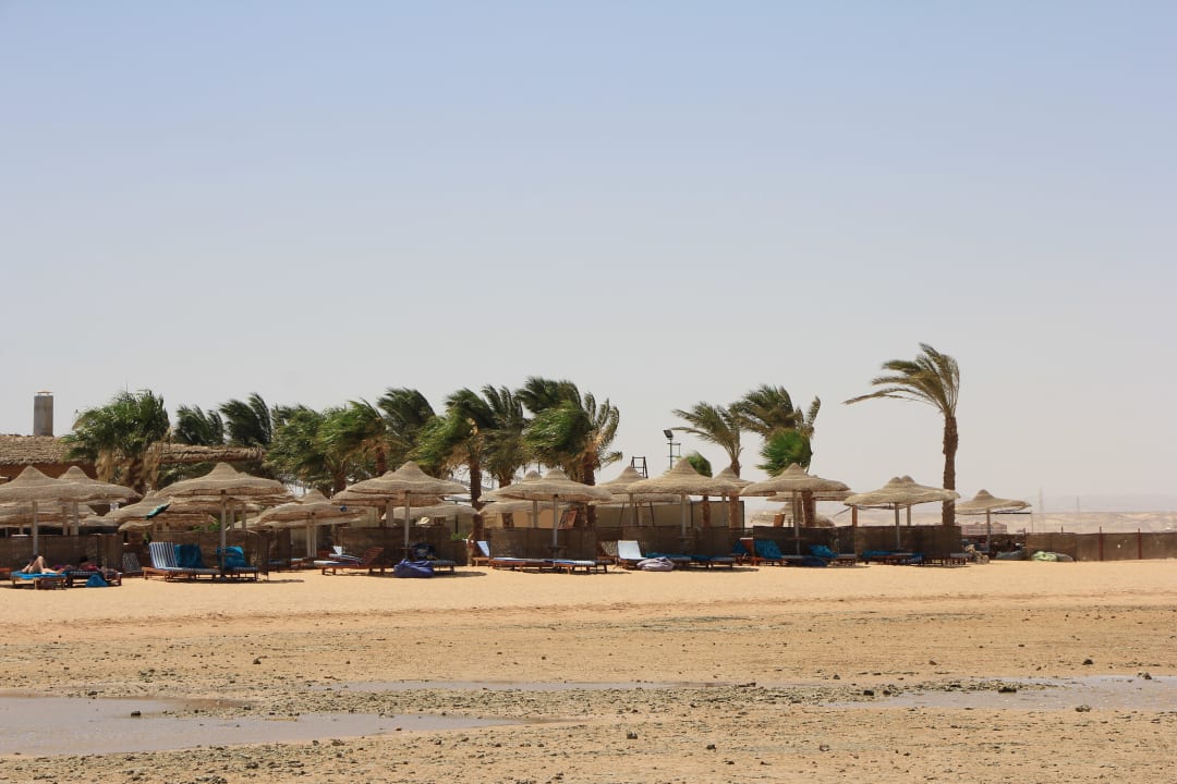 Hotel vom Meer aus Amwaj Beach Club Abu Soma Resort