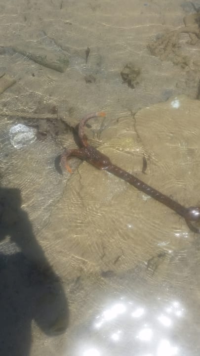 Sonstiges Royal Star Beach Resort