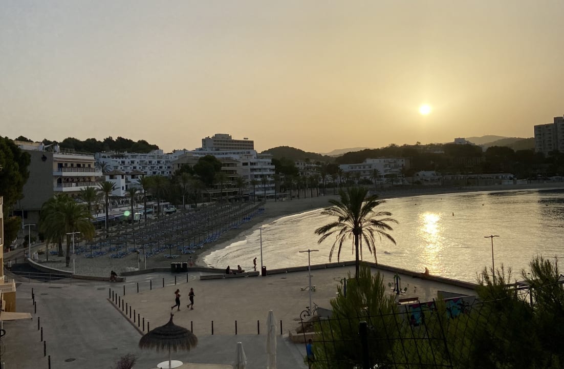 Ausblick FLOR los Almendros Hotel