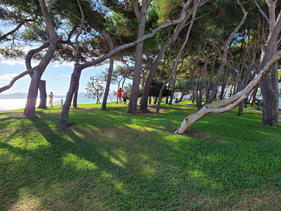 Außenansicht Iberostar Waves Playa de Muro