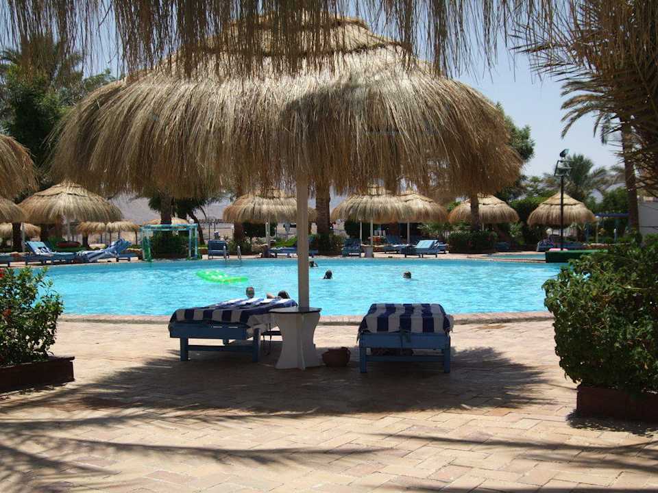 Bild von Juni 2009 Albatros Sharm Resort