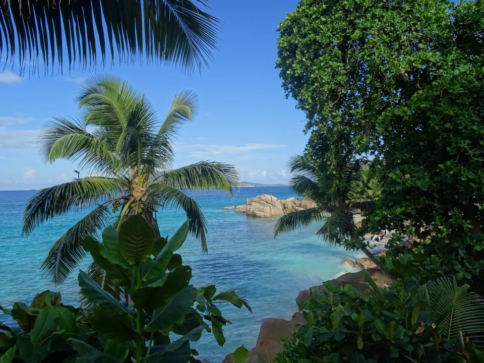 Schnorchelstrand direkt am Hotel Hotel Patatran Village