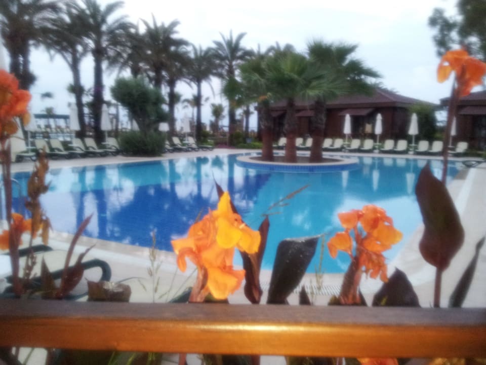 Calimera Calimera Serra Palace