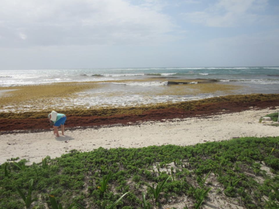Strand Akumal Bay Beach & Wellness Resort