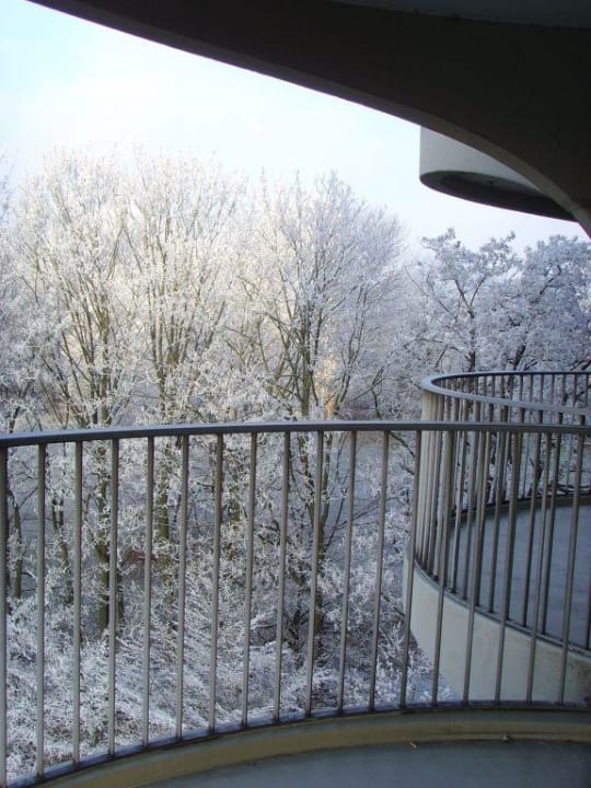 Blick auf den Wittelsbacher Park Dorint Hotel An der Kongresshalle Augsburg