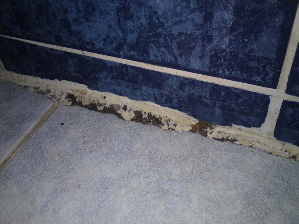 Hotel Ideal Beach Hotel Ideal Beach