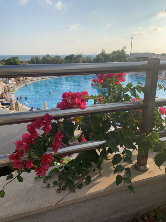 Pool Seamelia Beach Resort